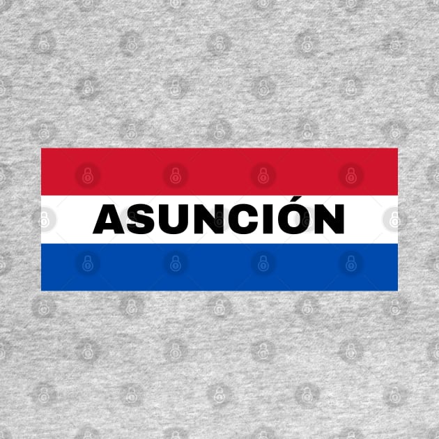 Asunción City in Paraguay Flag Colors by aybe7elf